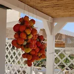 Farm stay Tenuta Sofia *