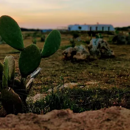 Alojamento de Turismo Rural Tenuta Sofia