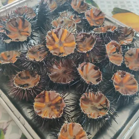 Tenuta Sofia Alojamento de Turismo Rural *