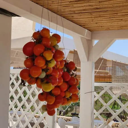 Alojamento de Turismo Rural Tenuta Sofia *