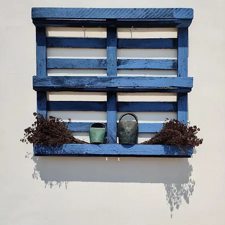 Tenuta Sofia Фермерский дом