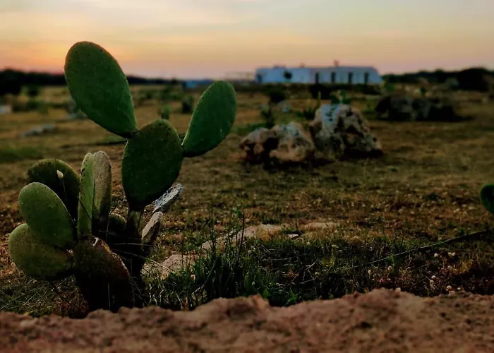 Farm stay Tenuta Sofia