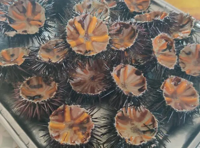 Tenuta Sofia בית חווה *