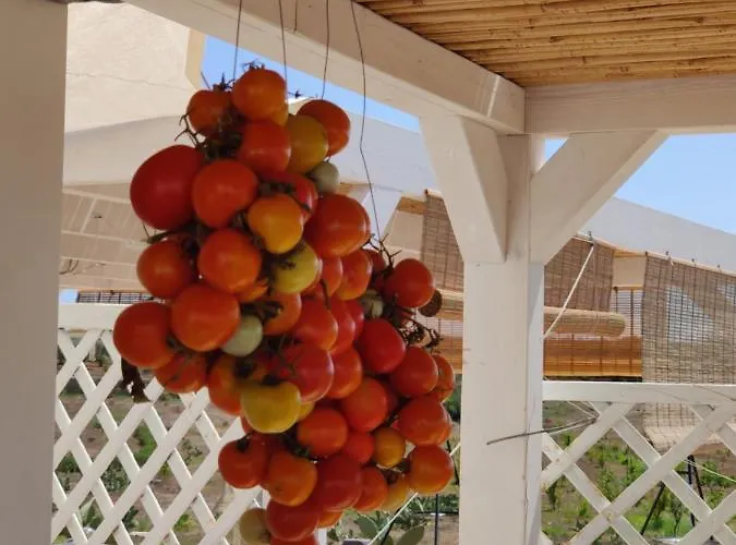 农家乐 Tenuta Sofia *